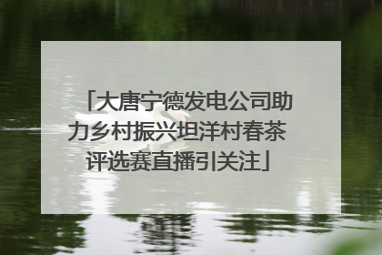大唐宁德发电公司助力乡村振兴坦洋村春茶评选赛直播引关注
